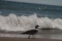 img_5639.jpg