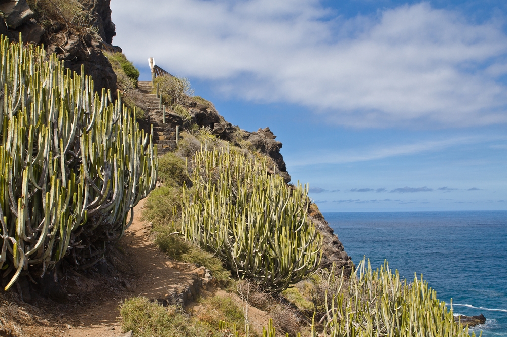 Teneriffa Teide Playa de los Roques Los Realejos Urlaub Reise