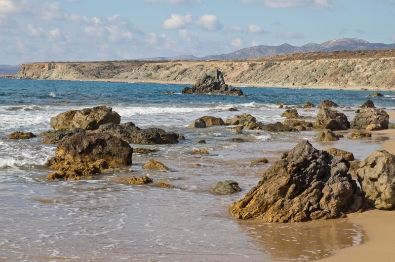 Lara Bay Zypern Turtle Bay Schildkröten