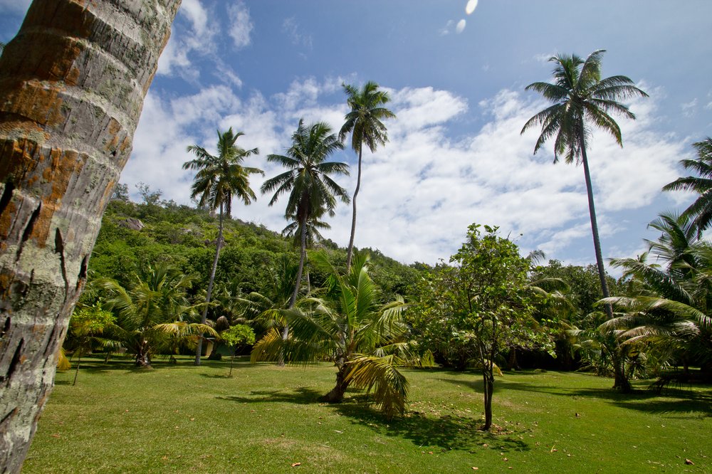Grand Soeur Seychellen Insel Silhouette Cruises
