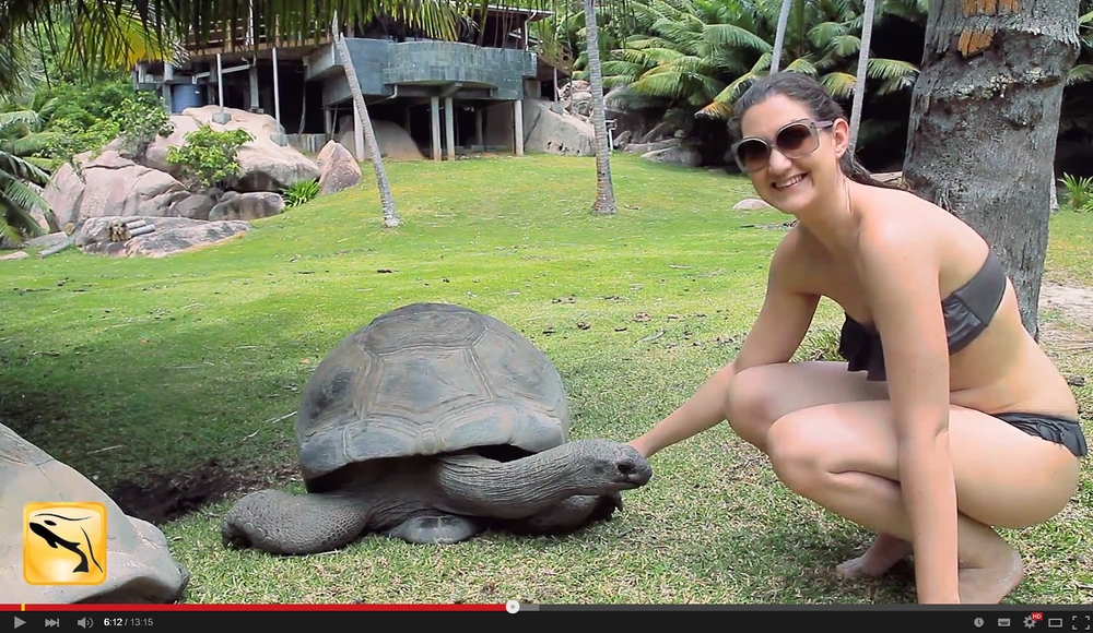 Seychellen Reisevideo Kreuzfahrt Inselhopping Reiseblog