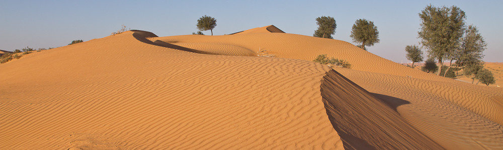 Wüste Ras Al Khaimai Beduinen Camp