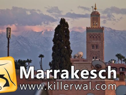 Video Reisevideo Marrakesch Marokko YouTube Reiseblog