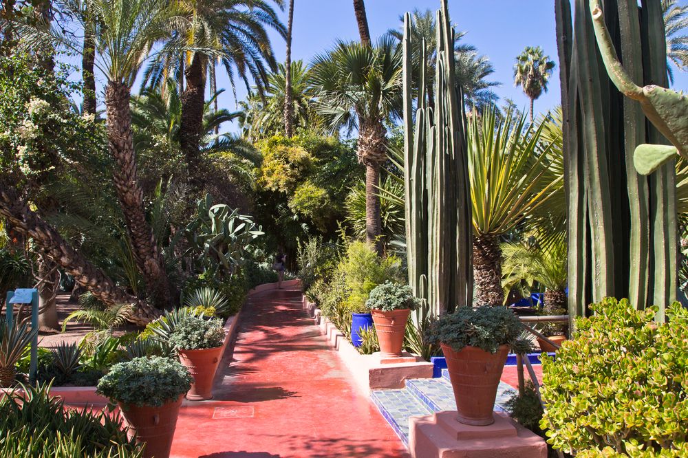 Marrakesch Jardin Majorelle Botanischer Garten